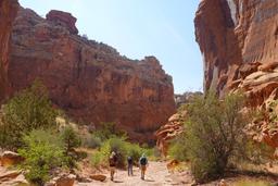 Wingate sandstone [sat aug 30 13:46:49 mdt 2025]